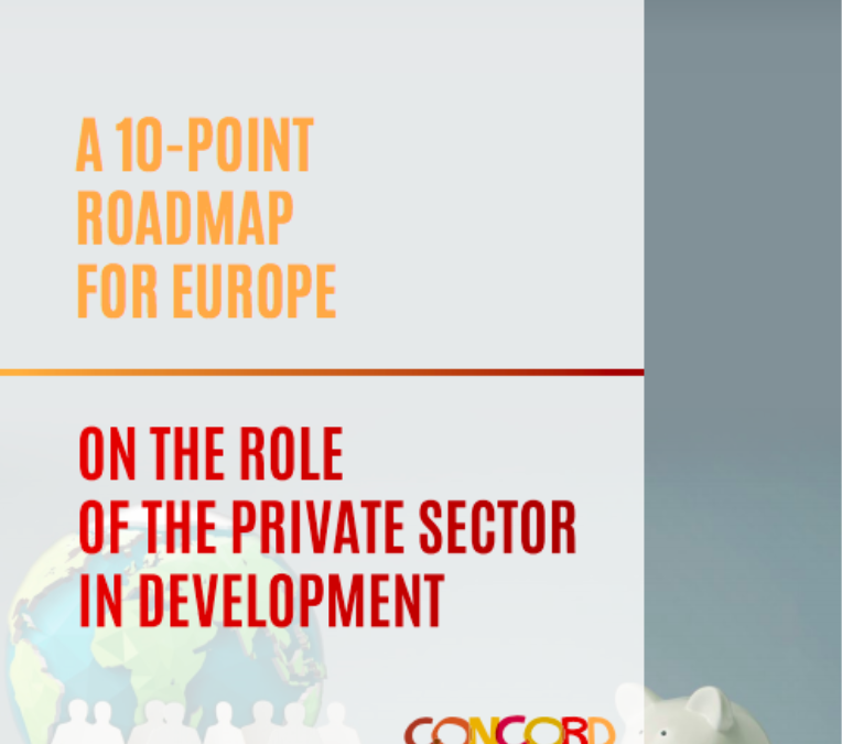10 point roadmap for Europe on the role of the private sector in development