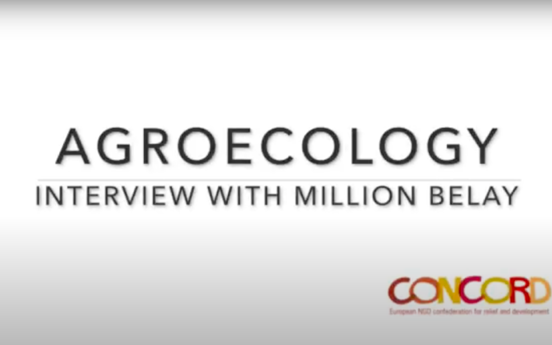 Agroecology with Million Belay