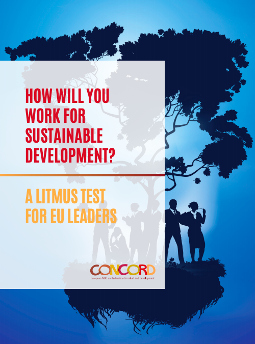 How will you work for sustainable development? A litmus test for EU leaders